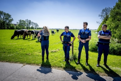 Beeld Werkgever liet geschil volledig escaleren